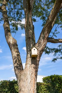 Foto van een recent tuinproject van Thomas Erkens