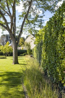 Foto van een recent tuinproject van Thomas Erkens