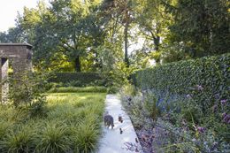 Foto van een recent tuinproject van Thomas Erkens