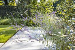 Foto van een recent tuinproject van Thomas Erkens